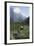 Giant Panda in the Forest-DLILLC-Framed Photographic Print