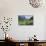 Giant Panda in the Forest-DLILLC-Mounted Photographic Print displayed on a wall