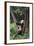 Giant Panda in the Forest-DLILLC-Framed Photographic Print