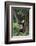 Giant Panda in the Forest-DLILLC-Framed Photographic Print