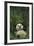 Giant Panda Lying in Forest-DLILLC-Framed Photographic Print