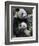 Giant Panda Mother and Baby, Wolong Nature Reserve, China-Eric Baccega-Framed Photographic Print