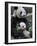 Giant Panda Mother and Baby, Wolong Nature Reserve, China-Eric Baccega-Framed Photographic Print