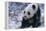 Giant Panda Sitting in Snow-DLILLC-Framed Premier Image Canvas