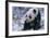 Giant Panda Sitting in Snow-DLILLC-Framed Photographic Print