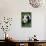 Giant Panda Walking on Forest Floor-DLILLC-Photographic Print displayed on a wall