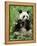 Giant Panda, Wolong Nr, Qionglai Mts, Sichuan, China-Lynn M. Stone-Framed Premier Image Canvas