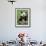 Giant Panda, Wolong Nr, Qionglai Mts, Sichuan, China-Lynn M. Stone-Framed Photographic Print displayed on a wall