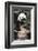 Giant Panda-Art Wolfe-Framed Art Print