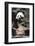 Giant Panda-Art Wolfe-Framed Art Print