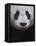 Giant Panda-Keren Su-Framed Premier Image Canvas