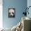 Giant Panda-DLILLC-Framed Premier Image Canvas displayed on a wall