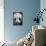 Giant Panda-DLILLC-Framed Premier Image Canvas displayed on a wall