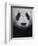 Giant Panda-Keren Su-Framed Photographic Print