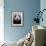 Giant Panda-Keren Su-Framed Photographic Print displayed on a wall