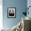 Giant Panda-Keren Su-Framed Photographic Print displayed on a wall