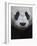 Giant Panda-Keren Su-Framed Photographic Print