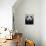 Giant Panda-Keren Su-Mounted Photographic Print displayed on a wall