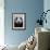 Giant Panda-Keren Su-Framed Photographic Print displayed on a wall