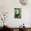 Giant Panda-null-Photographic Print displayed on a wall