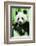 Giant Panda-null-Framed Photographic Print