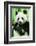 Giant Panda-null-Framed Photographic Print