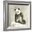 Giant Panda-null-Framed Photo