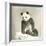 Giant Panda-null-Framed Photo