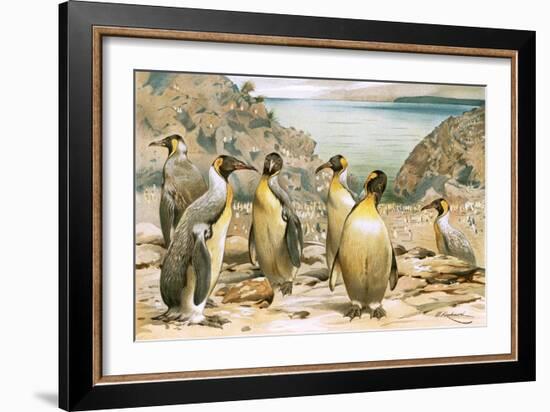 Giant Penguins-Wilhelm Kuhnert-Framed Giclee Print