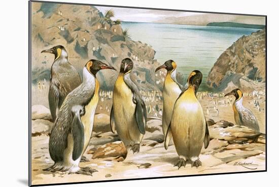 Giant Penguins-Wilhelm Kuhnert-Mounted Giclee Print