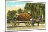 Giant Pineapple on Wagon, Florida-null-Mounted Art Print