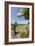 Giant Prickly Pear Cactus, South Plaza Island, Galapagos, Ecuador-Cindy Miller Hopkins-Framed Photographic Print