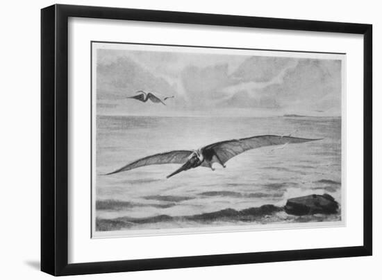 Giant Pterodactyl the Pteranodon with a Wing-Spread of Some 6 Metres from the Cretaceous Period-null-Framed Art Print