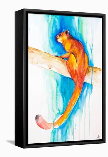 Giant Red Flying Squirrel-Marc Allante-Framed Stretched Canvas