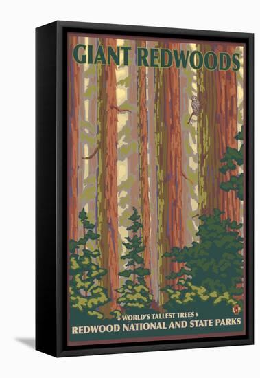Giant Redwoods, Redwood National Park, California-Lantern Press-Framed Stretched Canvas