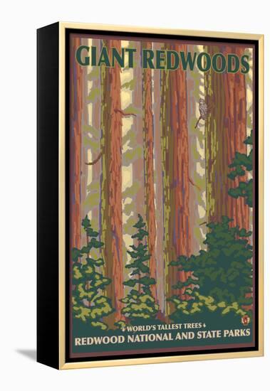 Giant Redwoods, Redwood National Park, California-Lantern Press-Framed Stretched Canvas