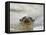 Giant River Otter, Pantanal, Brazil-Joe & Mary Ann McDonald-Framed Premier Image Canvas