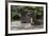 Giant river otter, Pantanal, Mato Grosso, Brazil.-Sergio Pitamitz-Framed Photographic Print