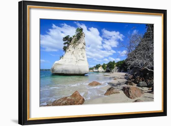 Giant Rock on the Sandy Beach of Cathedral Cove, Coromandel, North Island, New Zealand, Pacific-Michael Runkel-Framed Photographic Print