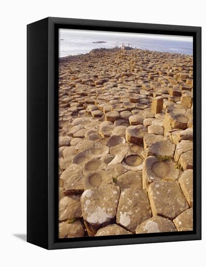 Giant's Causeway, County Antrim, Northern Ireland, UK, Europe-Charles Bowman-Framed Premier Image Canvas