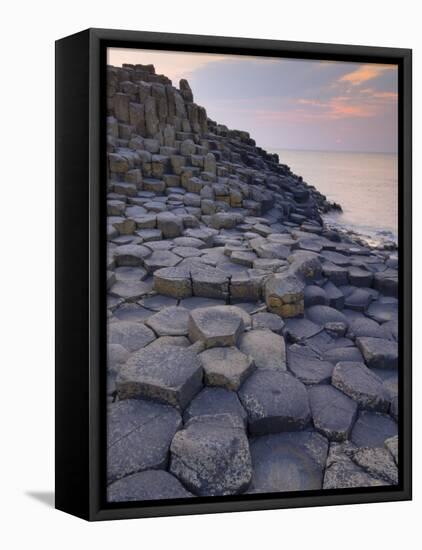 Giant's Causeway Near Bushmills, County Antrim, Ulster, Northern Ireland, UK-Neale Clarke-Framed Premier Image Canvas