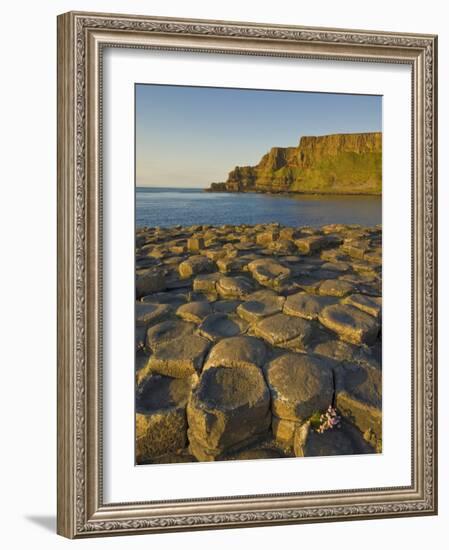 Giant's Causeway Near Bushmills, County Antrim, Ulster, Northern Ireland, UK-Neale Clarke-Framed Photographic Print