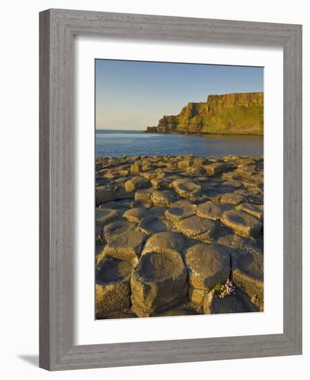 Giant's Causeway Near Bushmills, County Antrim, Ulster, Northern Ireland, UK-Neale Clarke-Framed Photographic Print