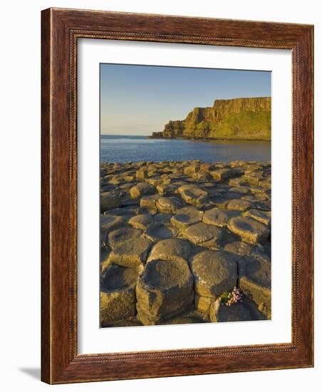 Giant's Causeway Near Bushmills, County Antrim, Ulster, Northern Ireland, UK-Neale Clarke-Framed Photographic Print