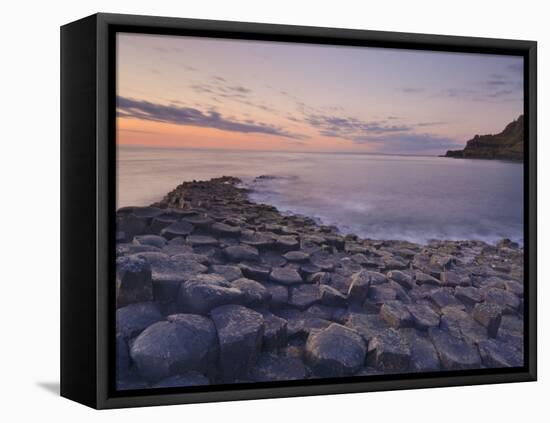 Giant's Causeway Near Bushmills, County Antrim, Ulster, Northern Ireland, UK-Neale Clarke-Framed Premier Image Canvas