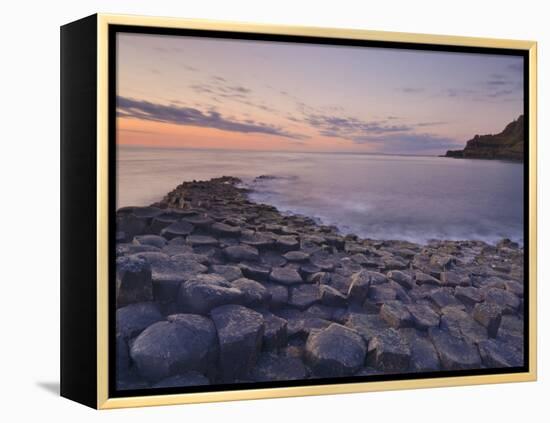 Giant's Causeway Near Bushmills, County Antrim, Ulster, Northern Ireland, UK-Neale Clarke-Framed Premier Image Canvas