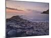 Giant's Causeway Near Bushmills, County Antrim, Ulster, Northern Ireland, UK-Neale Clarke-Mounted Photographic Print