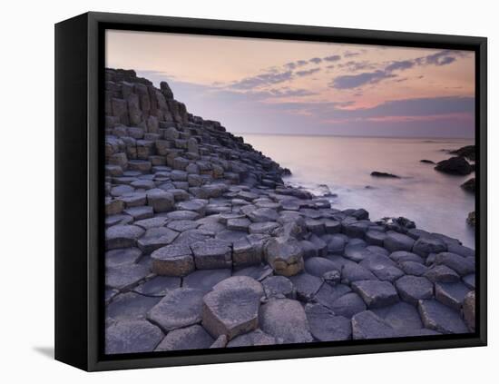 Giant's Causeway Near Bushmills, County Antrim, Ulster, Northern Ireland, UK-Neale Clarke-Framed Premier Image Canvas