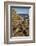 Giant's Causeway, UNESCO World Heritage Site, County Antrim, Ulster, Northern Ireland, United Kingd-Nigel Hicks-Framed Photographic Print