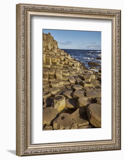 Giant's Causeway, UNESCO World Heritage Site, County Antrim, Ulster, Northern Ireland, United Kingd-Nigel Hicks-Framed Photographic Print